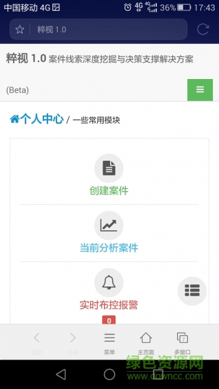 粹视